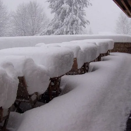 Milano Alpen Meeting&spa Hotel 4*